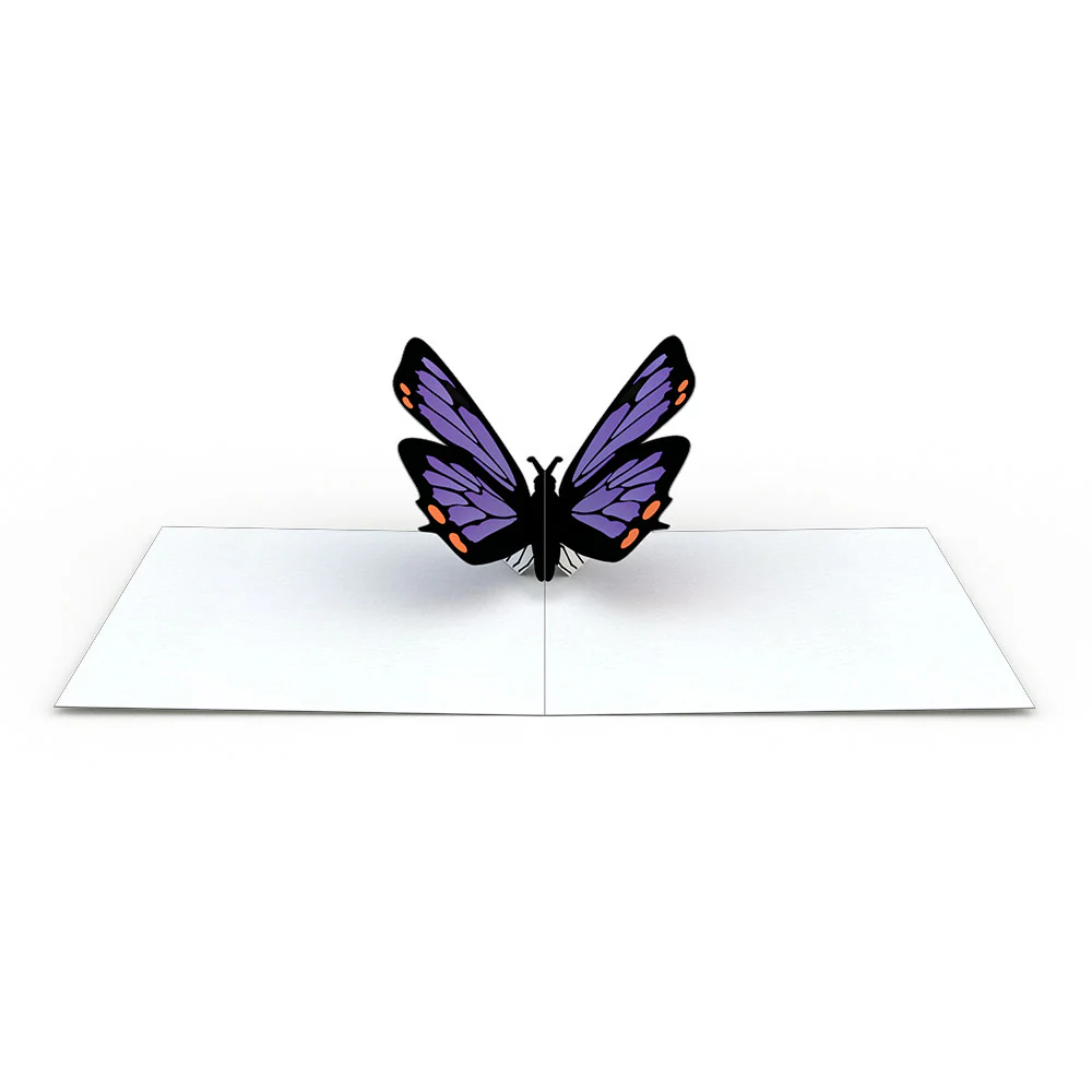 Butterfly Notecards (Assorted 4-Pack) - Image 4
