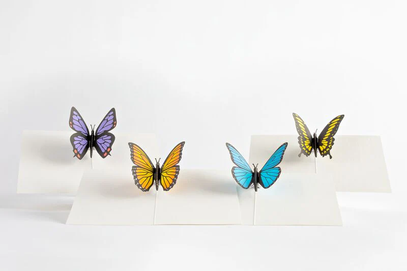 Butterfly Notecards (Assorted 4-Pack) - Image 7