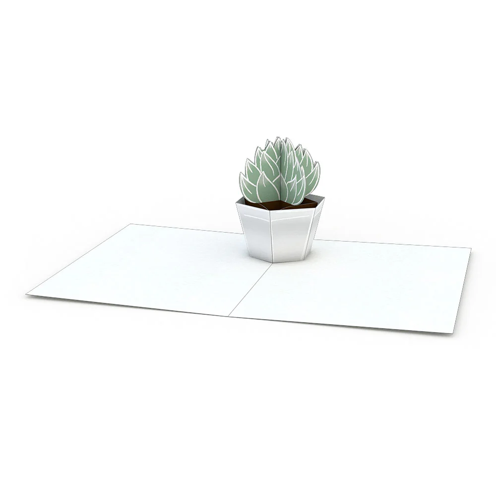 Succulent Notecards (Assorted 4-Pack) - Image 3