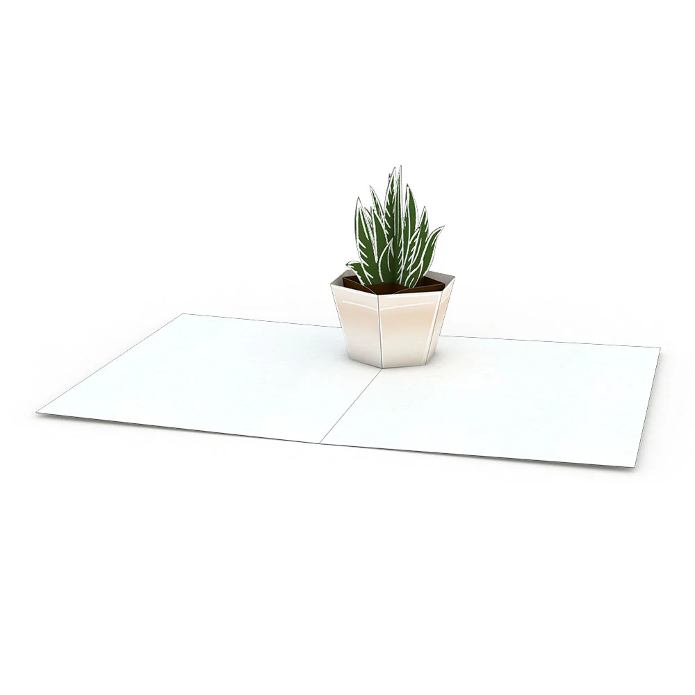 Succulent Notecards (Assorted 4-Pack) - Image 4