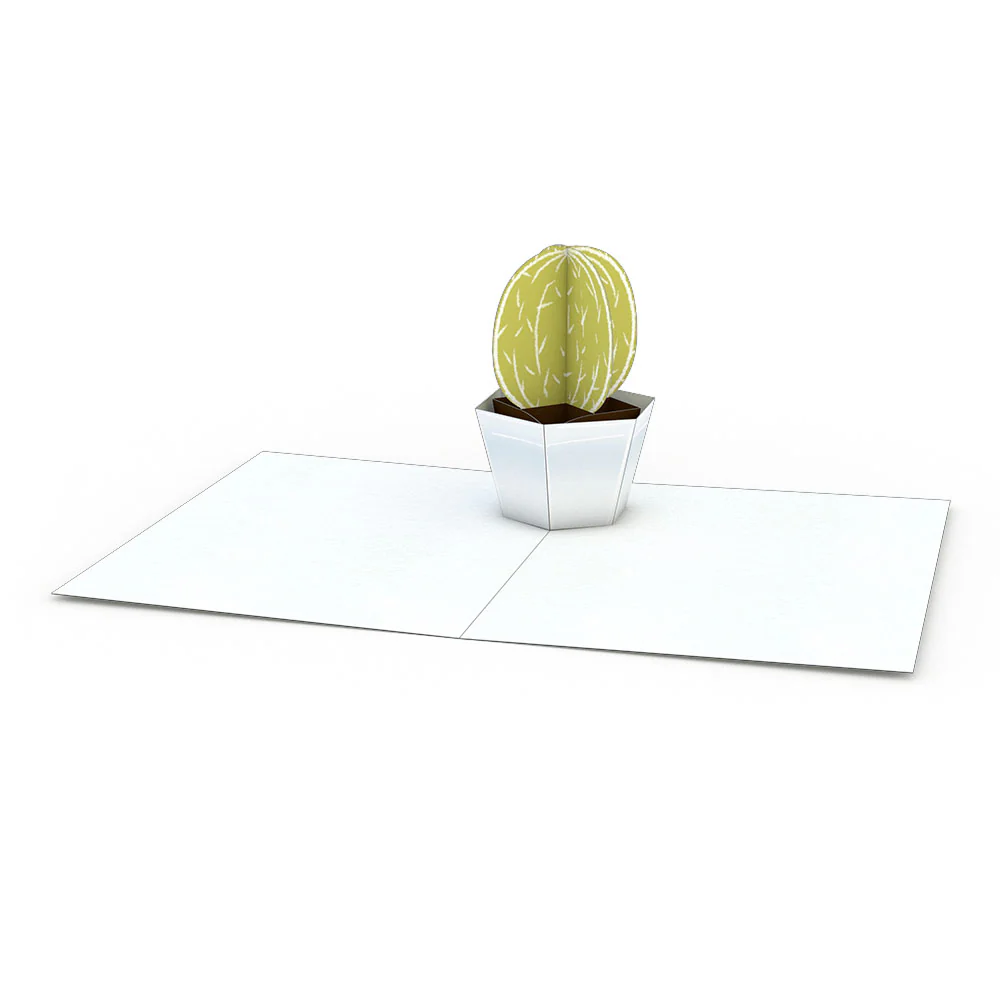 Succulent Notecards (Assorted 4-Pack) - Image 5