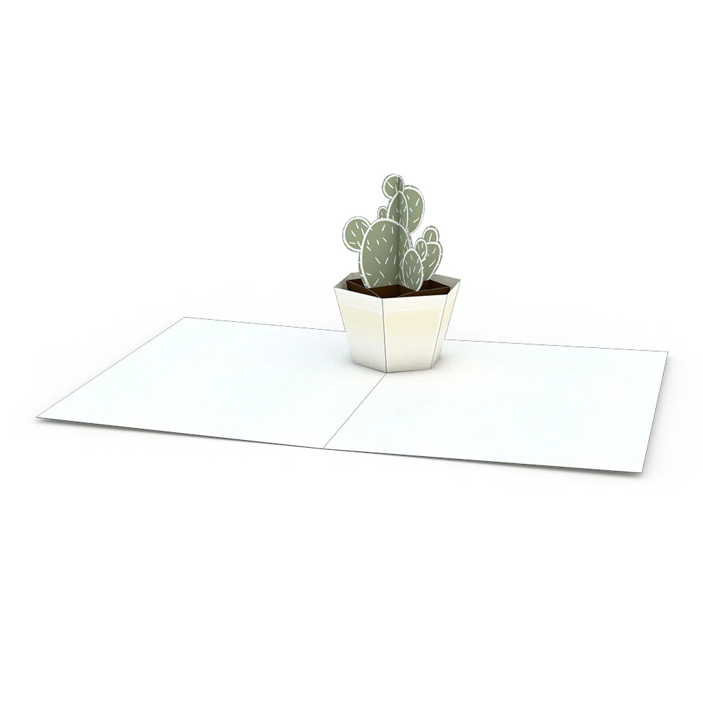 Succulent Notecards (Assorted 4-Pack) - Image 6