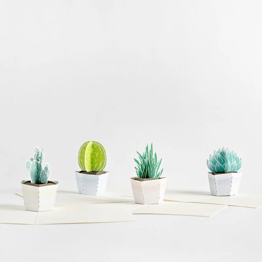 Succulent Notecards (Assorted 4-Pack) - Image 7
