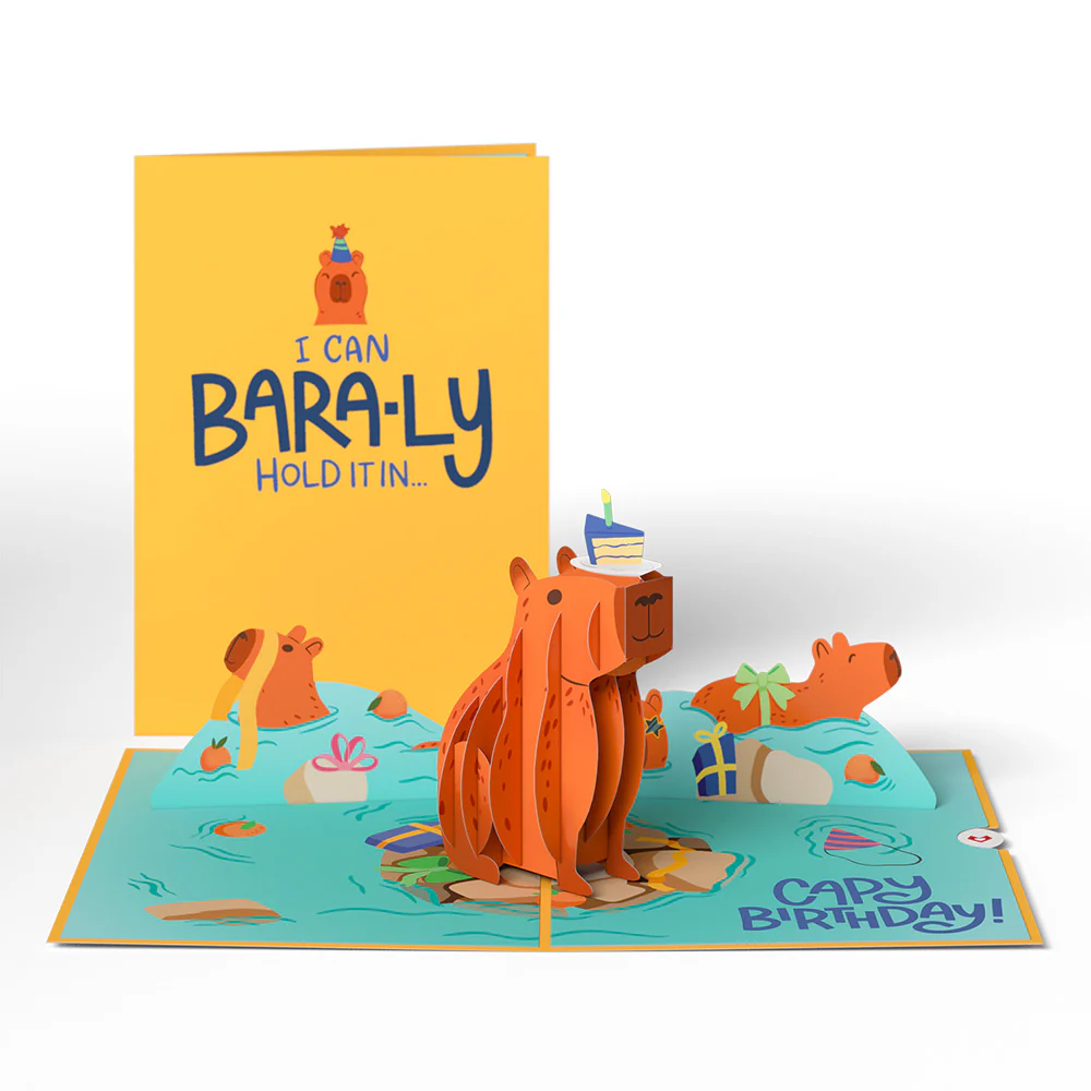 Birthday Animals 3-Pack - Image 12