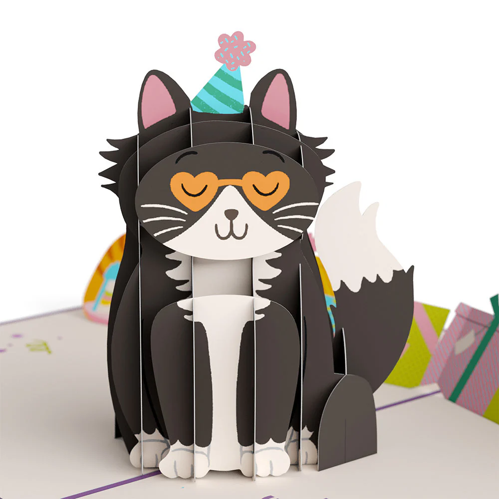 Birthday Cats 3-Pack - Image 6