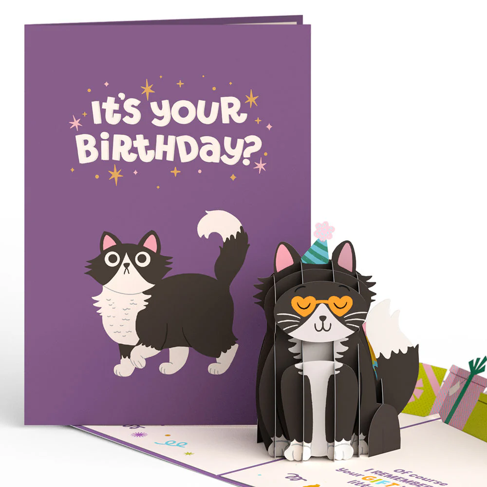 Birthday Cats 5-Pack - Image 5
