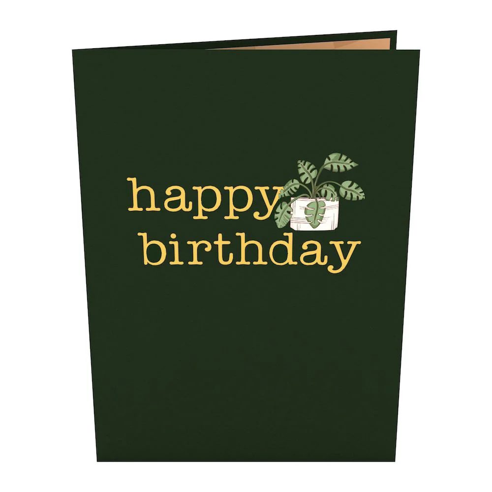 Birthday Houseplants Pop-Up Card - Image 4