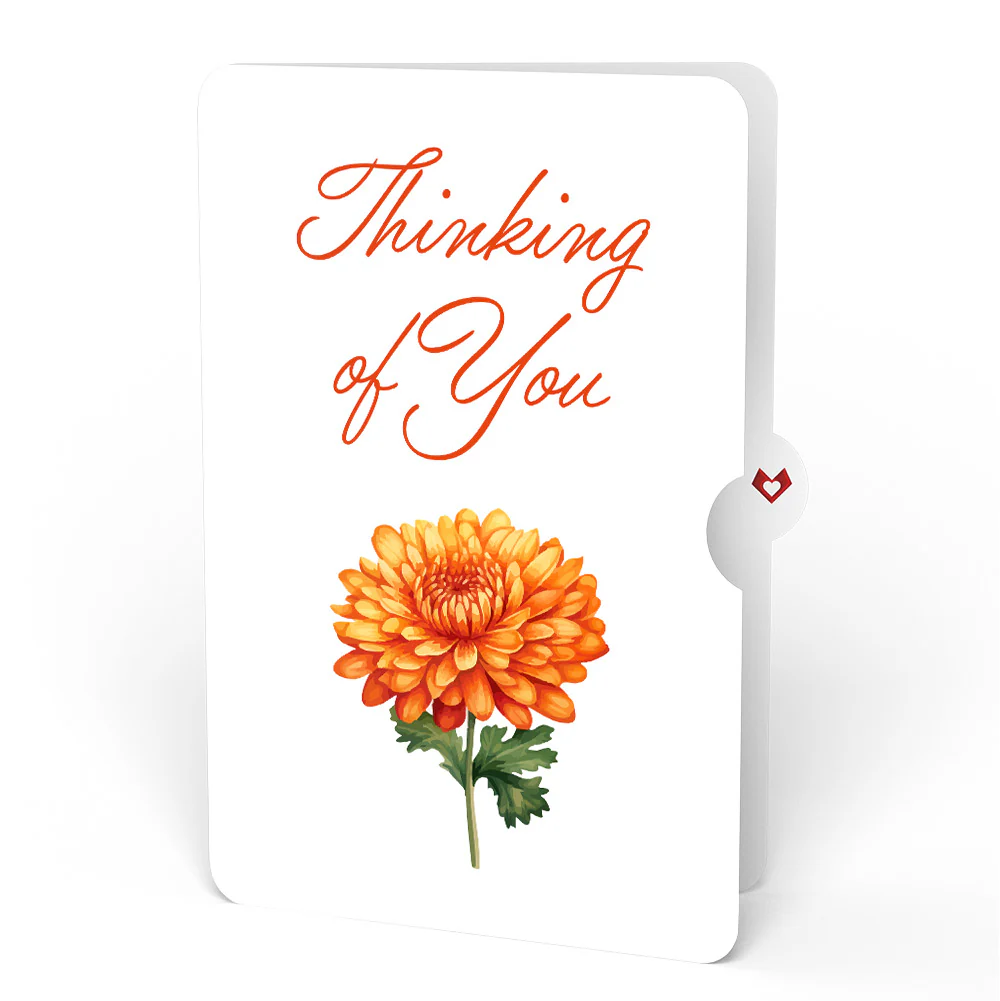 Born to Bloom: November Birth Month Flowers Thinking of You Pop-Up Card and Sentiment Set - Image 4