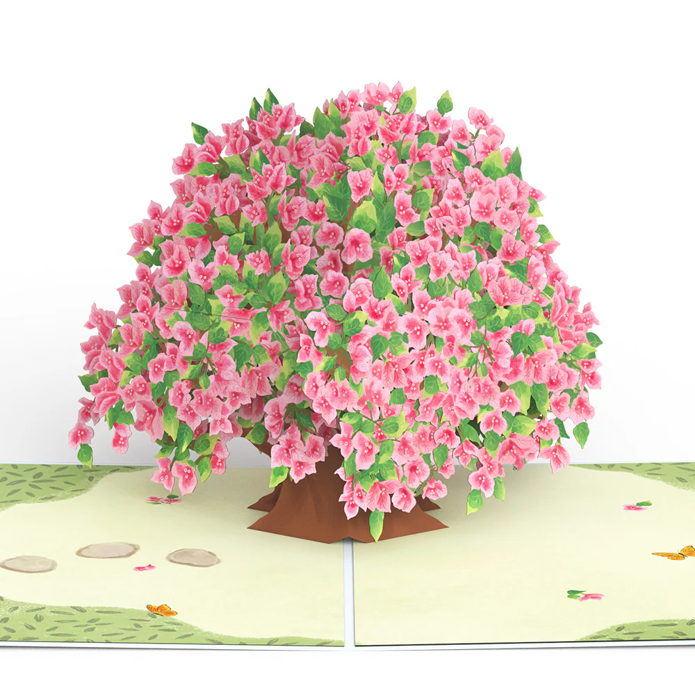Bougainvillea Garden Pop-Up Card - Image 2