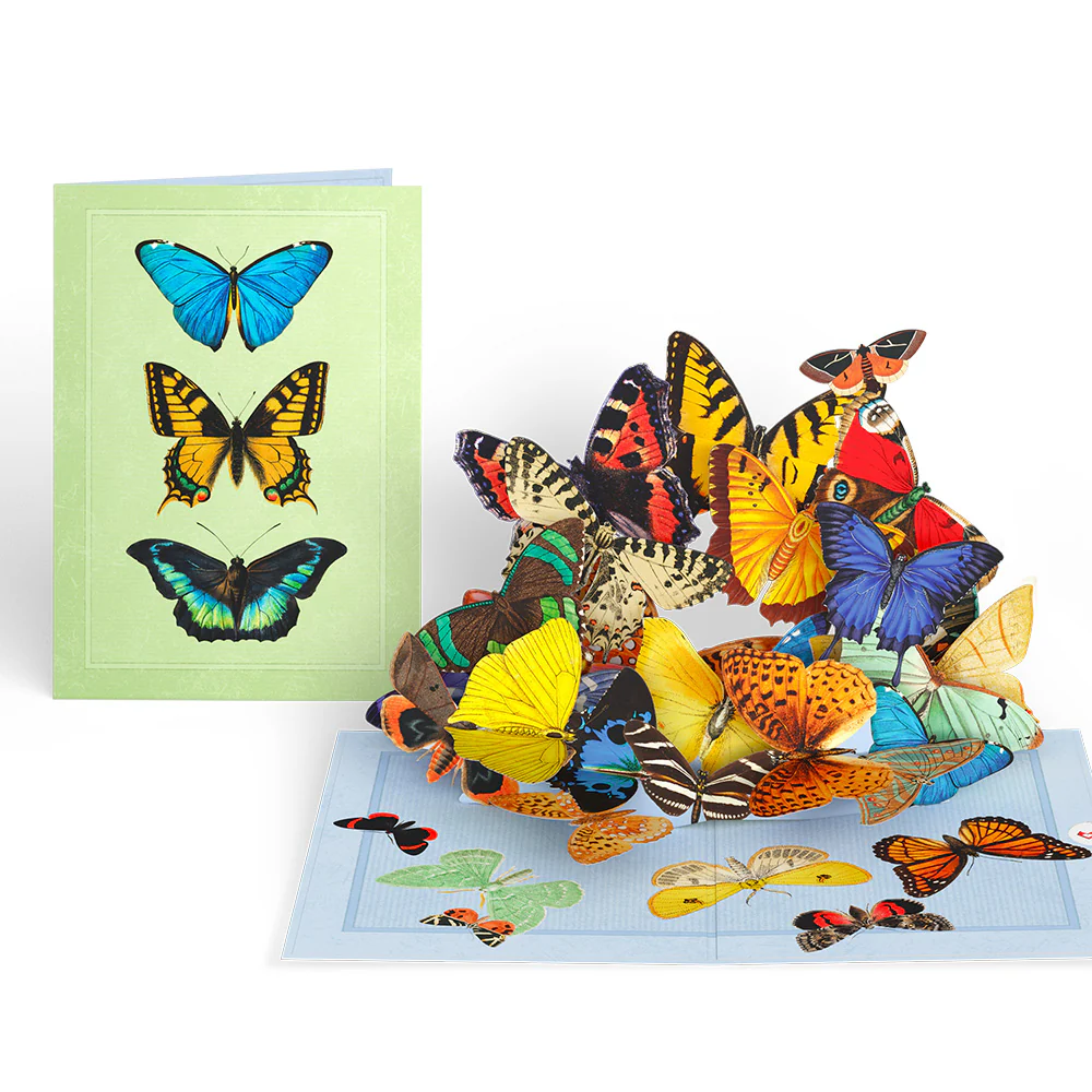 Brilliant Butterfly Pop-Up Card and Bouquet Bundle - Image 3