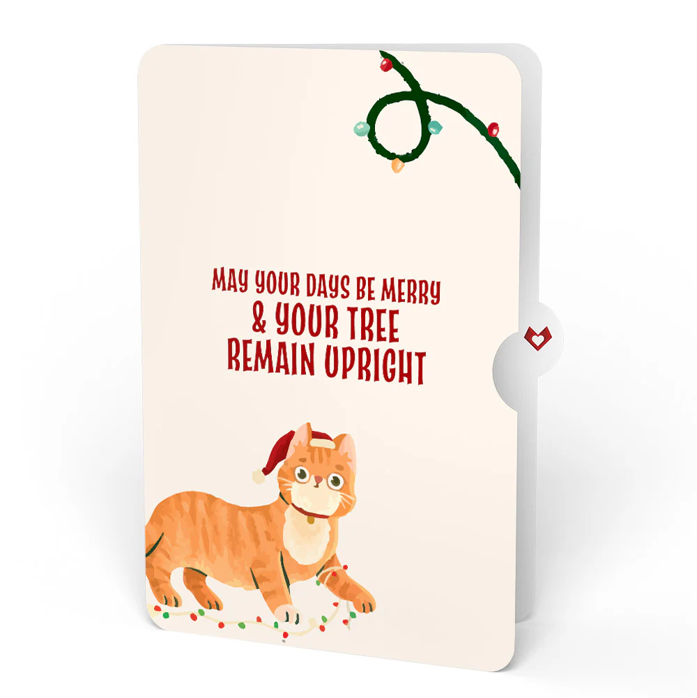 Christmas Gnomes Pop-Up Card and Funny Cat Sentiment Set - Image 4