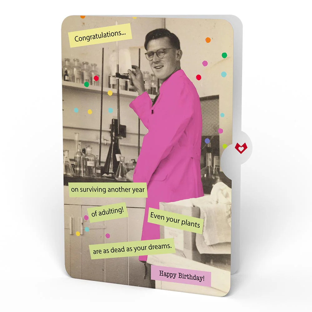 Confetti Cake Birthday Pop-Up Card and Survive Another Year of Adulting Sentiment Set - Image 4