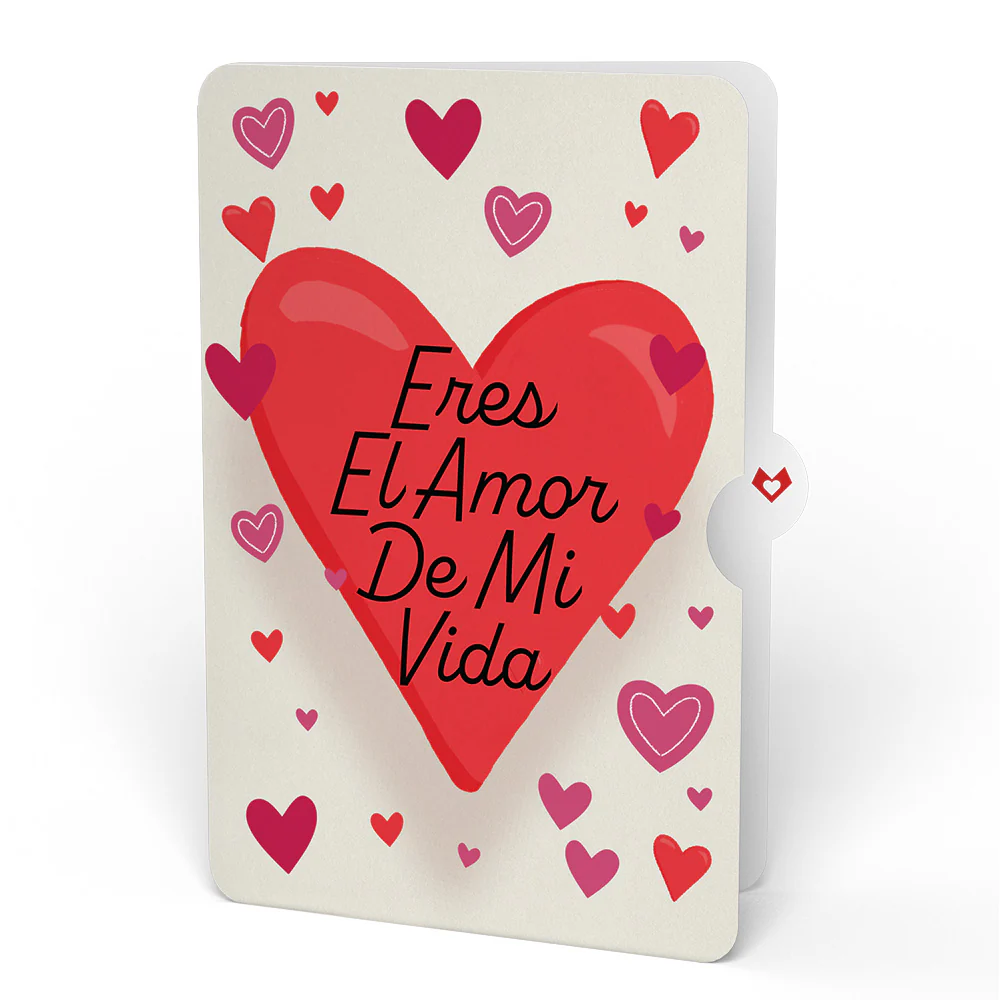 You Make My Heart Purr Cat Eres El Amor De Mi Vida Valentine Bouquet and Sentiment Set - Image 4