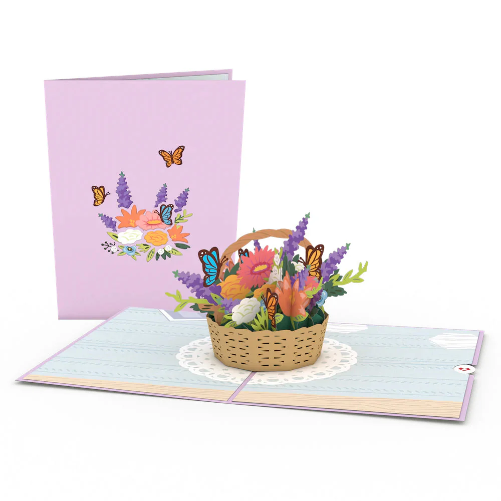 Everyday Favorites 3-Pack - Image 8