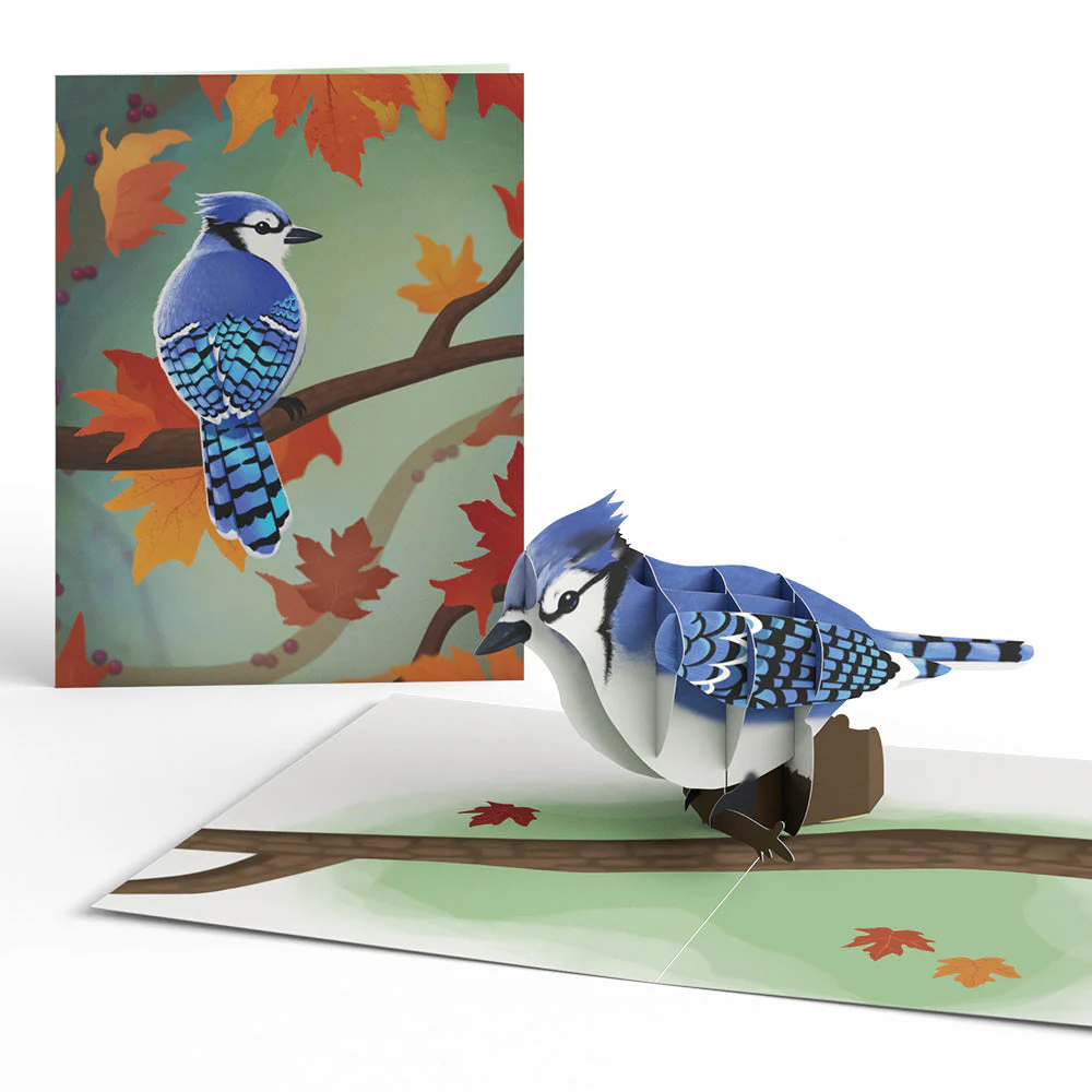 Fall Bird Box Set (Assorted 12-pack): PaperpopĀ® Card - Image 3
