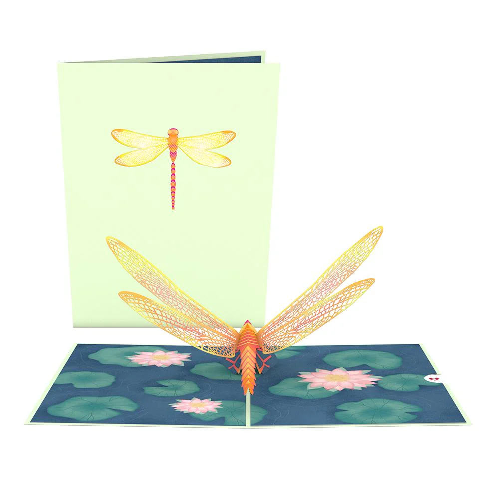 Garden 12-Pack Classic - Image 2