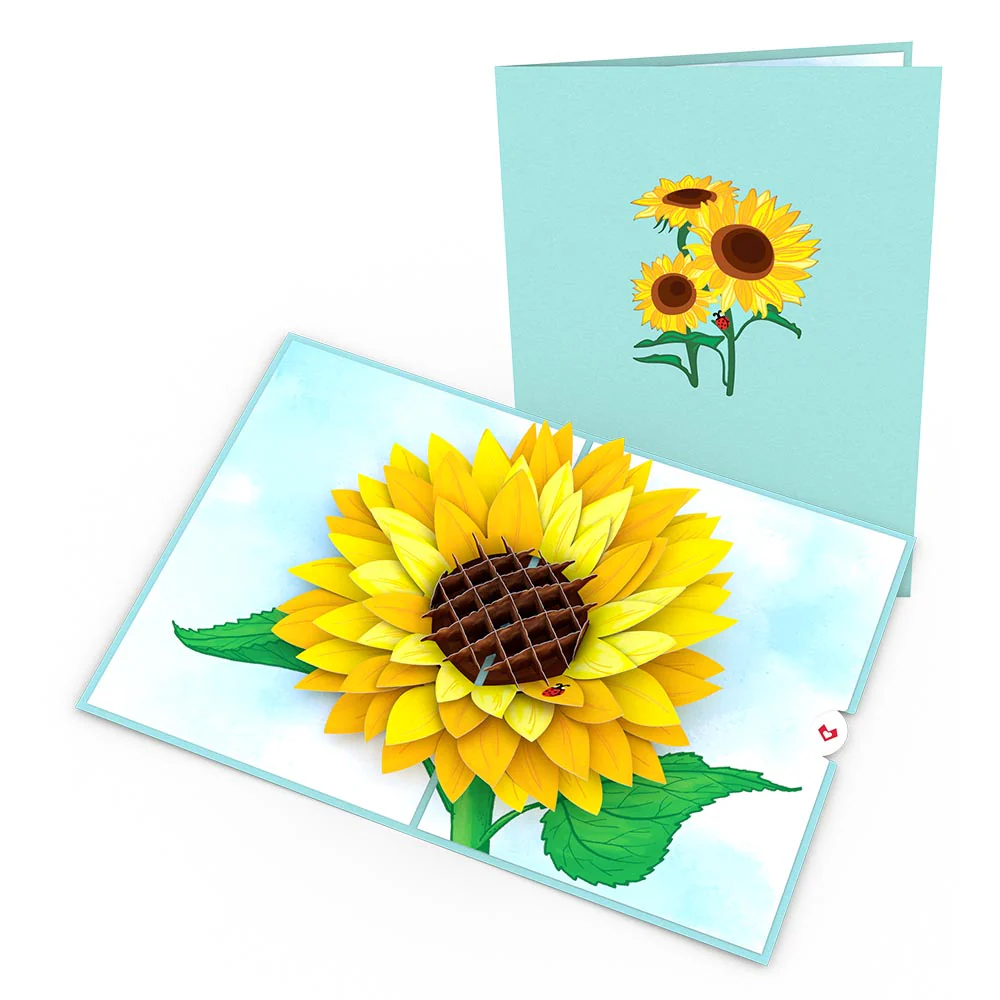 Garden 12-Pack - Image 5