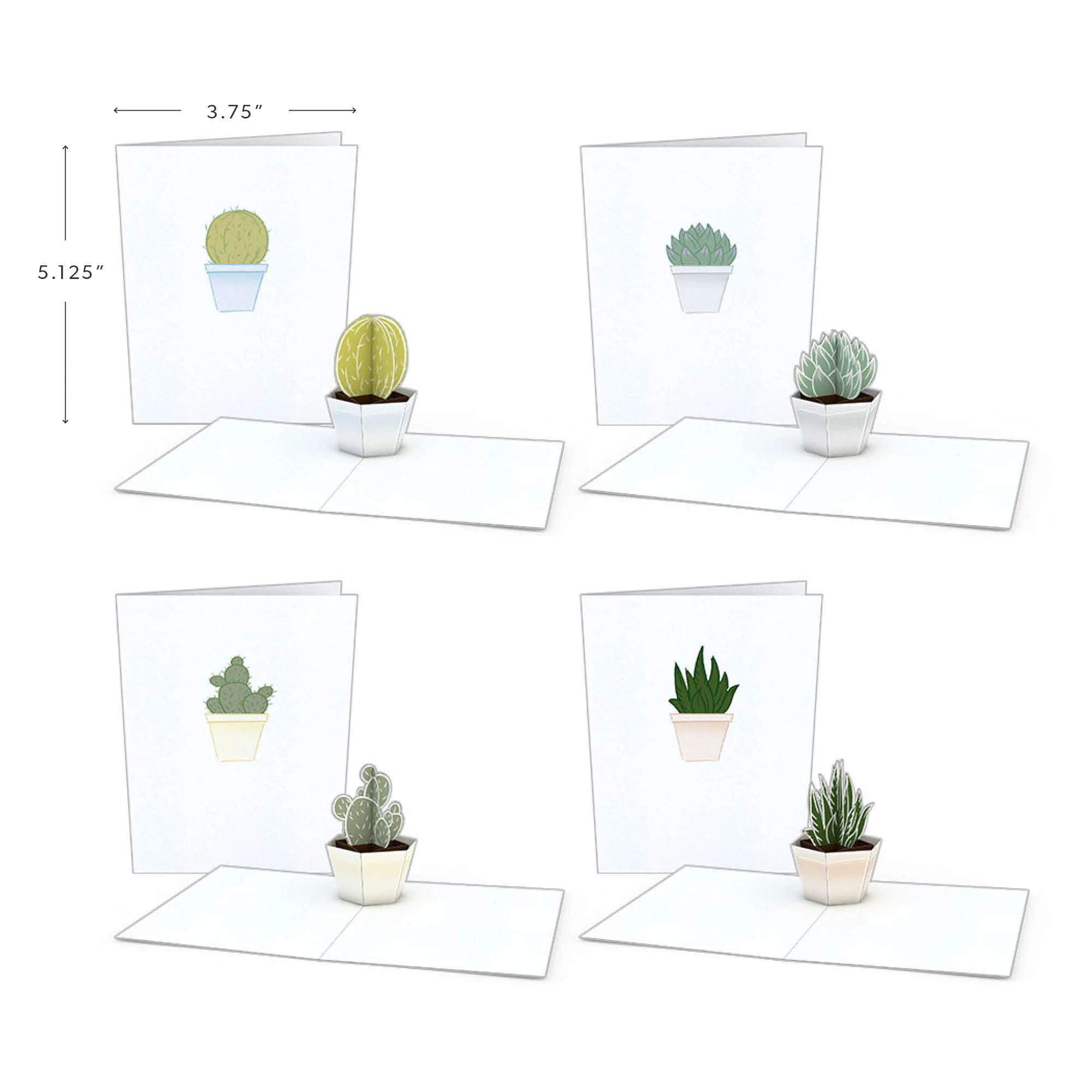 Greenhouse Card & Notecard 4-Pack Bundle - Image 5