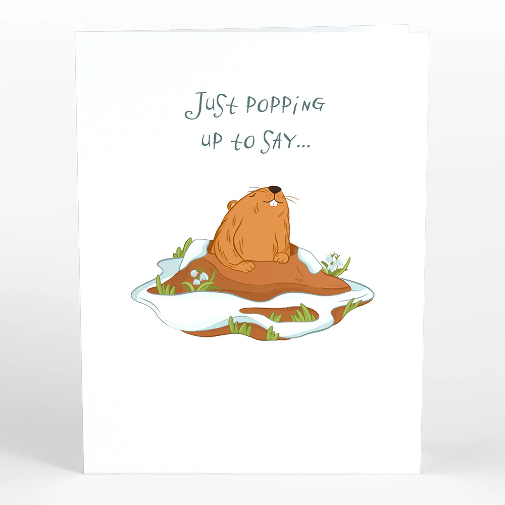 Happy Groundhog Day Card with Pop-Up Gift - Image 5