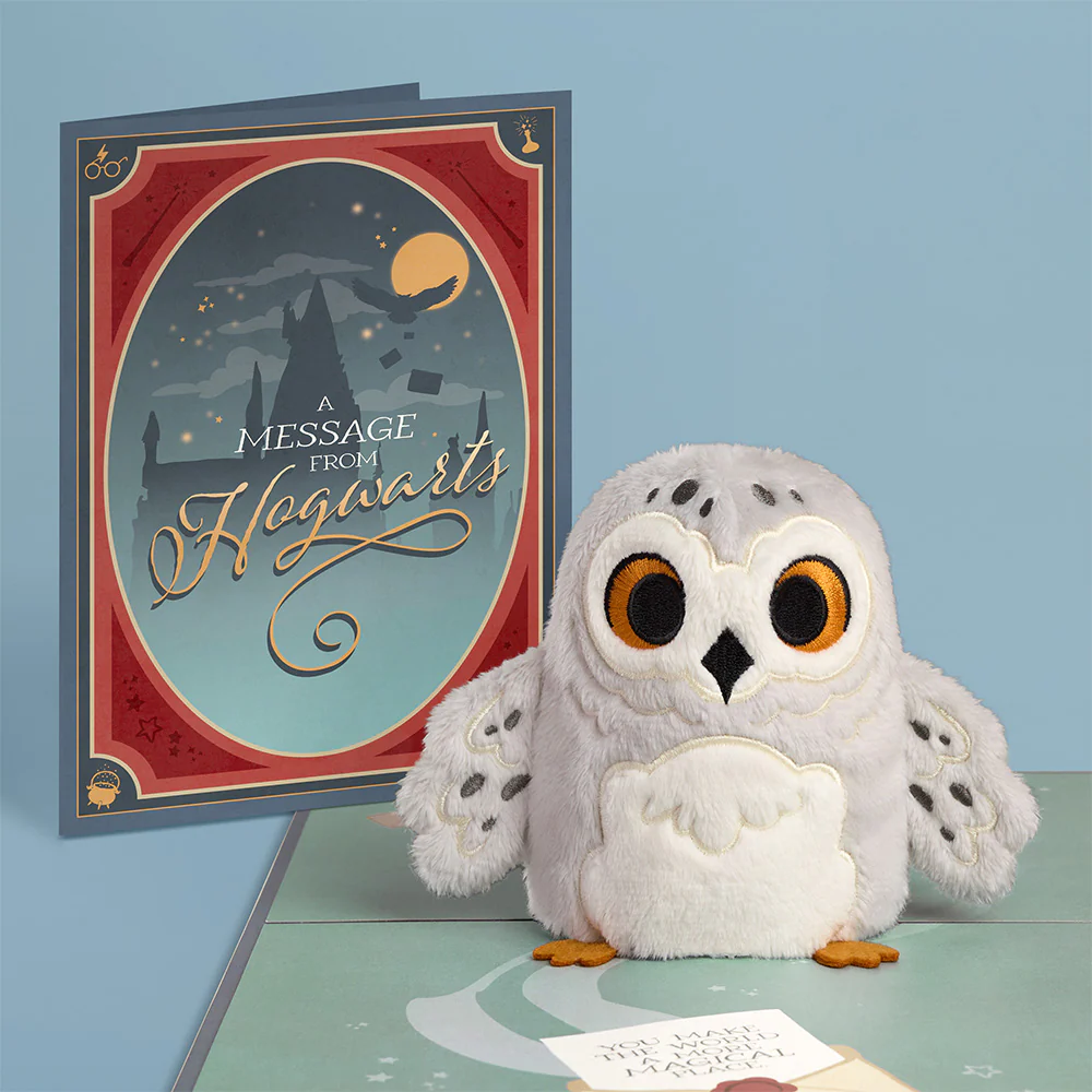 Harry Potter™ Hedwig™ ‘Message from Hogwarts’ Plushpop Card