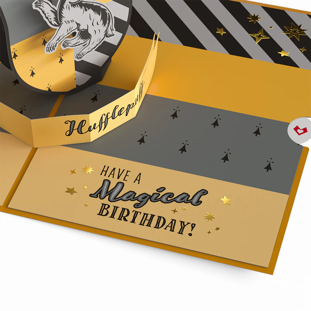 Harry Potter™ Hufflepuff™ Birthday Bundle - Image 11