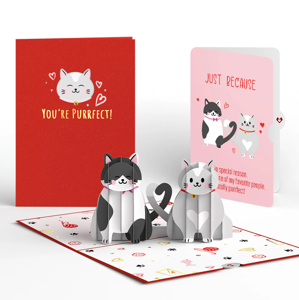 Love Cats Pop-Up Card and Sentiment Set