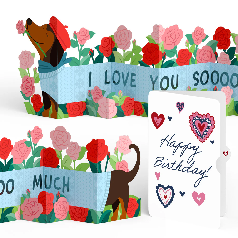 Love You So Much Dog Birthday Loooooong Card™ (Expands to 2 feet) and Sentiment Set
