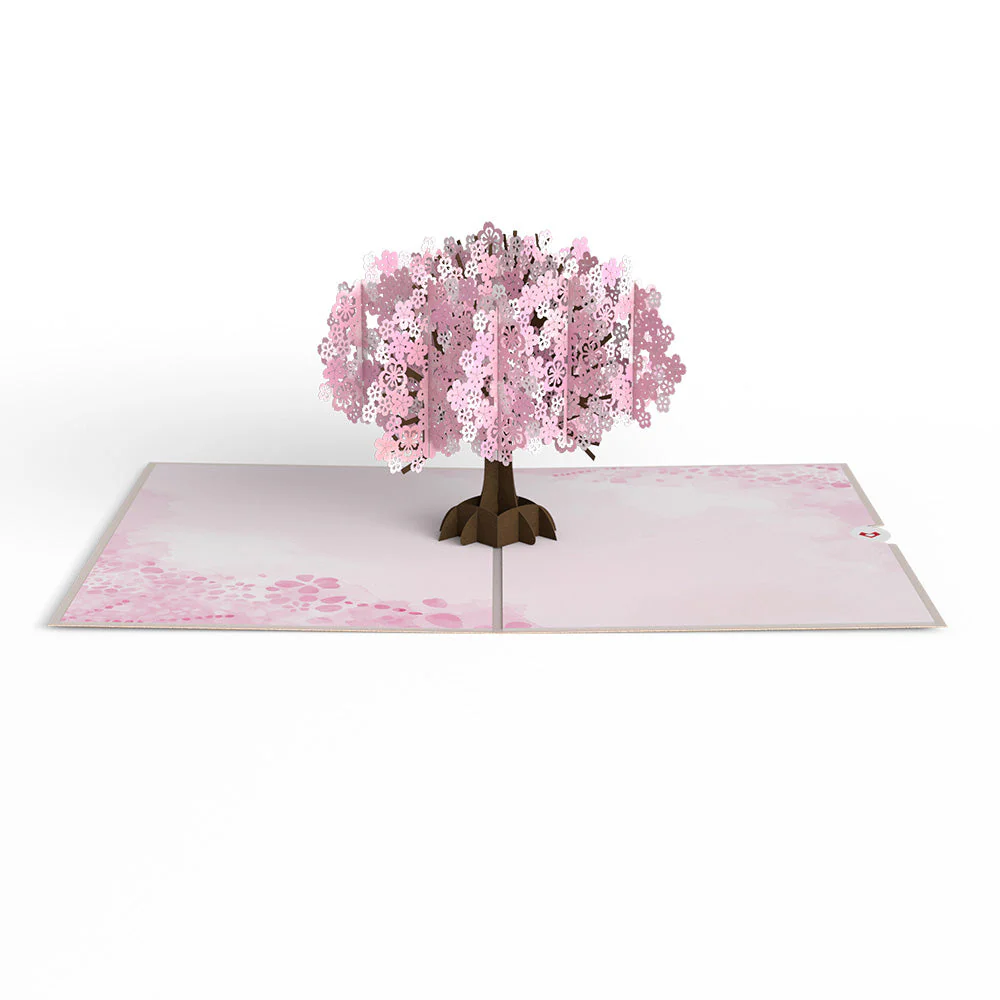 Lovely Blooms 3-Pack - Image 10