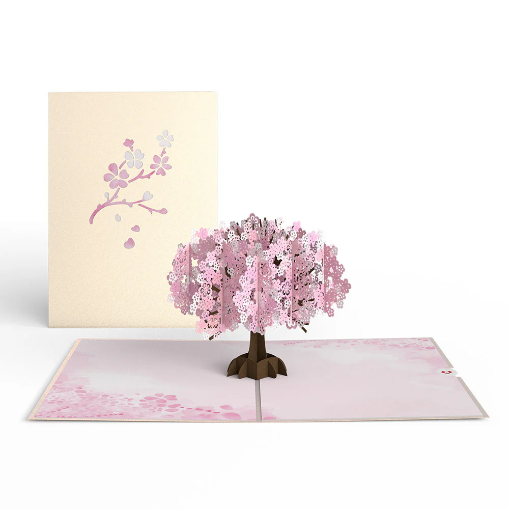 Lovely Blooms 3-Pack - Image 8