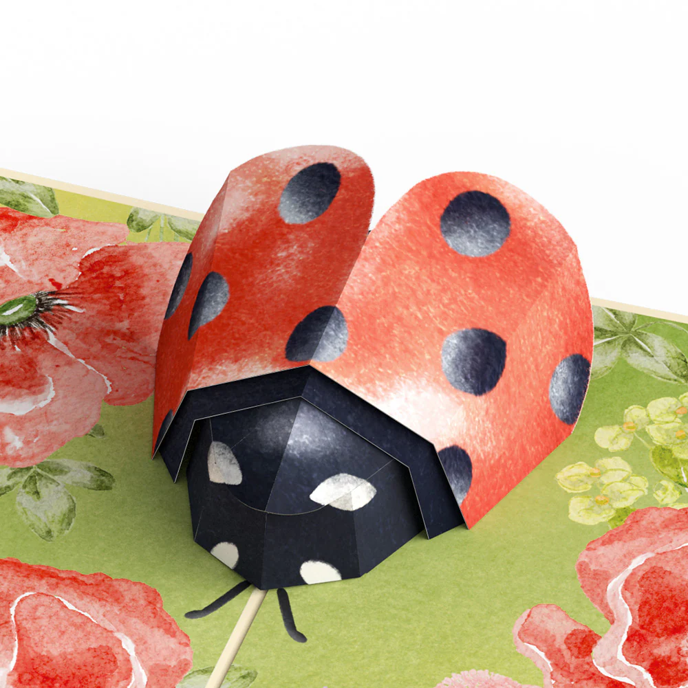 Lovely Ladybug Birthday Pop-Up Card and Sentiment Set - Image 3
