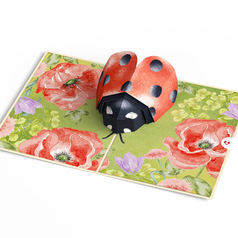 Lovely Ladybug Pop-Up Card - Image 3