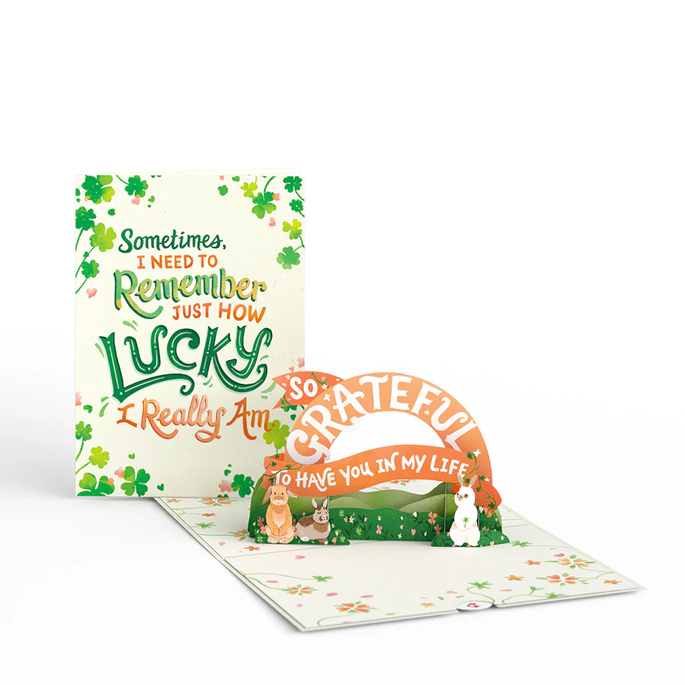 Lucky Shamrock 3-Pack - Image 6