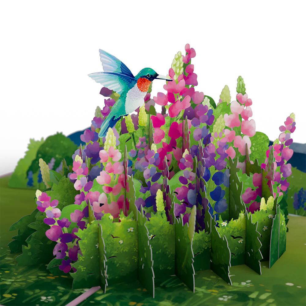 Lupine Hummingbird Birthday Pop-Up Card and A Little Hummingbird Kisses Sentiment Set - Image 3