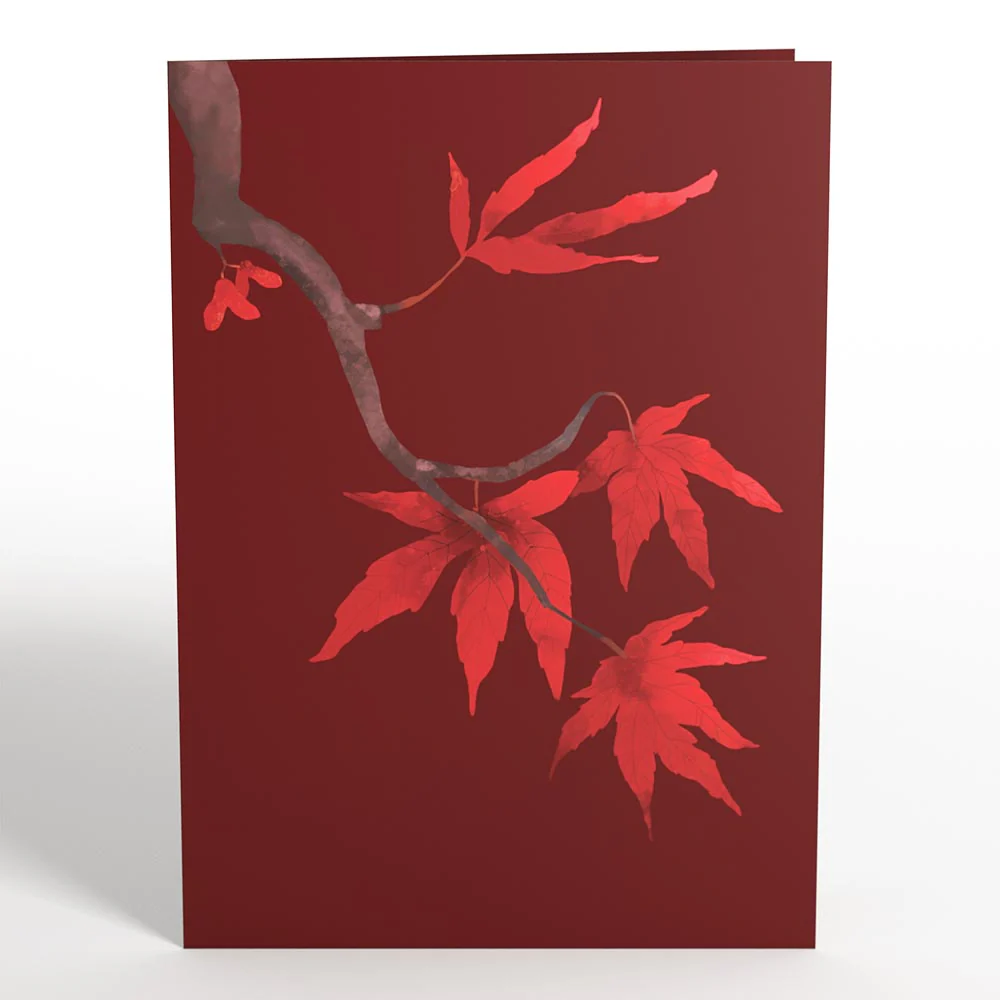 Majestic Japanese Maple Pop-Up Card - Image 4