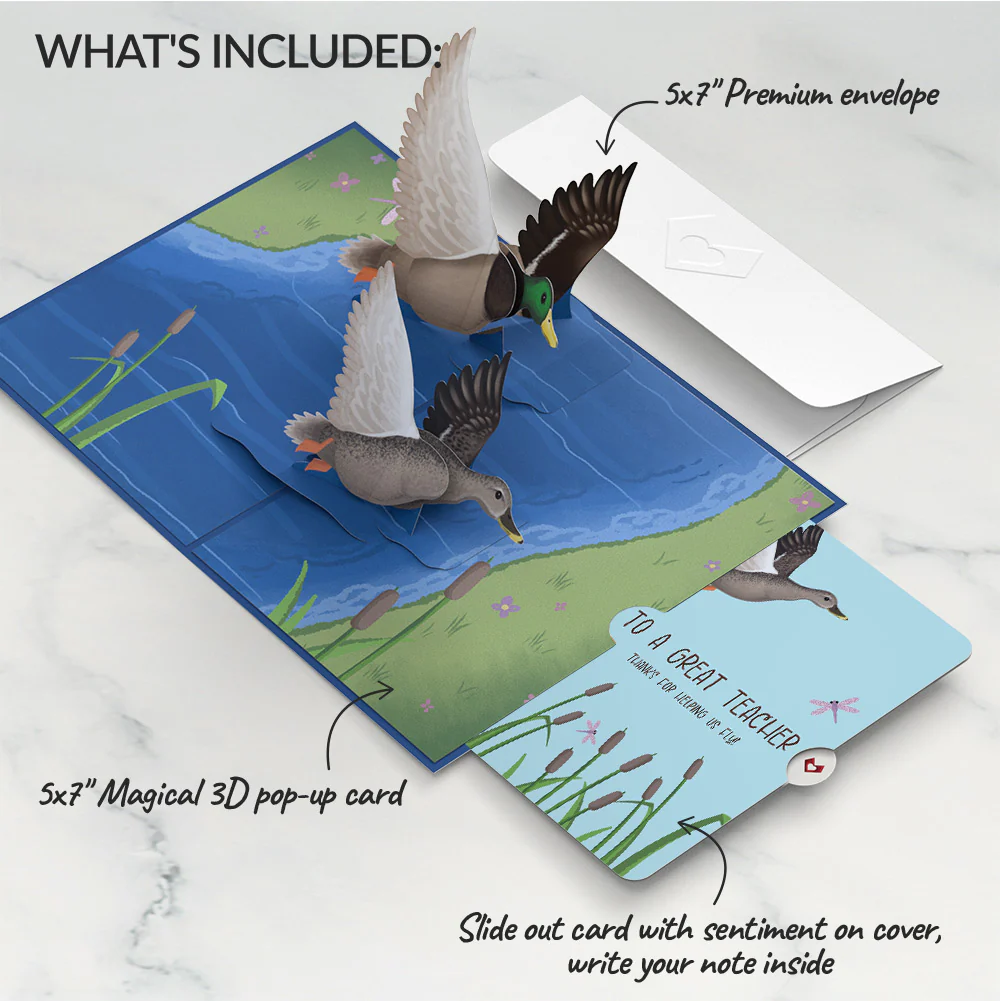 Pondside Mallard Ducks Appreciation Pop-Up Card and Sentiment Set for Teacher - Image 2