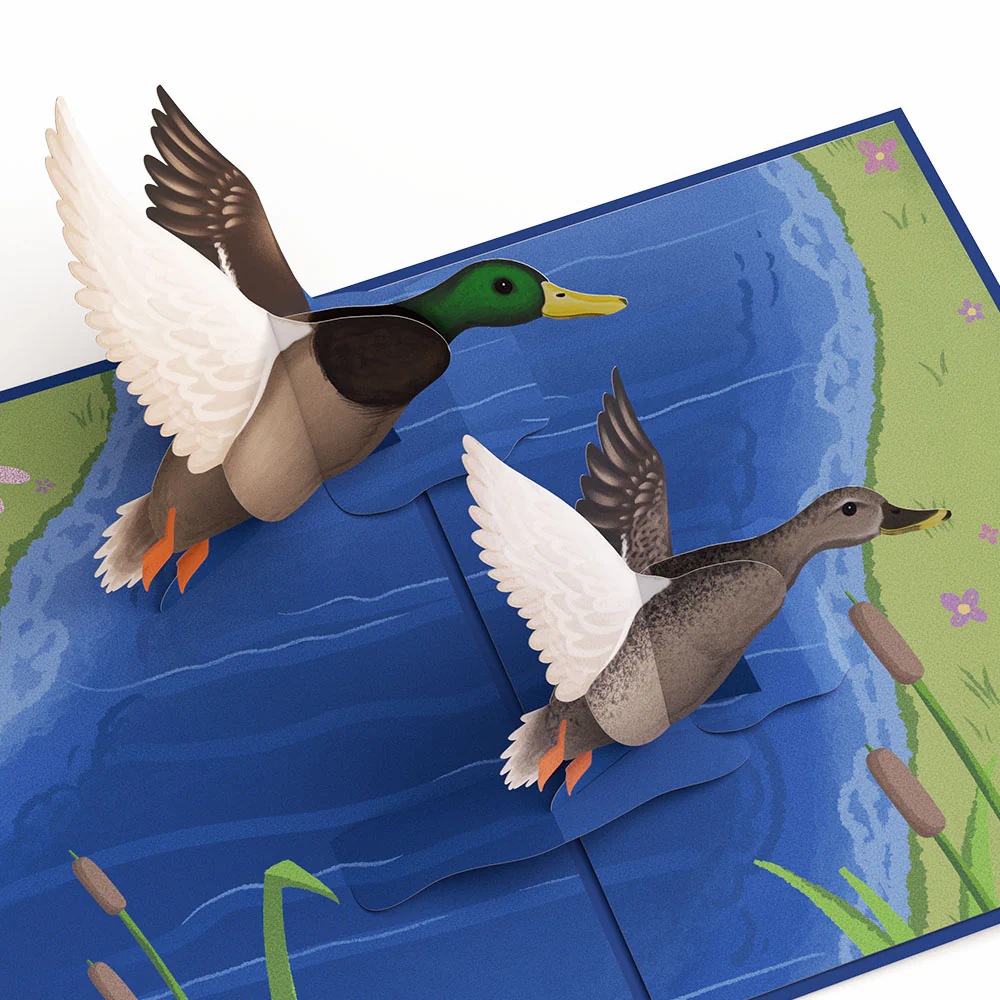 Pondside Mallard Ducks Congratulations Pop-Up Card and Sentiment Set - Image 3