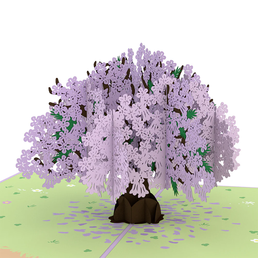 Mother’s Day Garden 5-Pack - Image 5