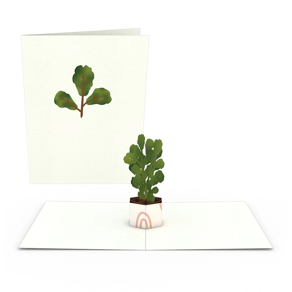 Plants Notecards (Assorted 4-Pack) - Image 3