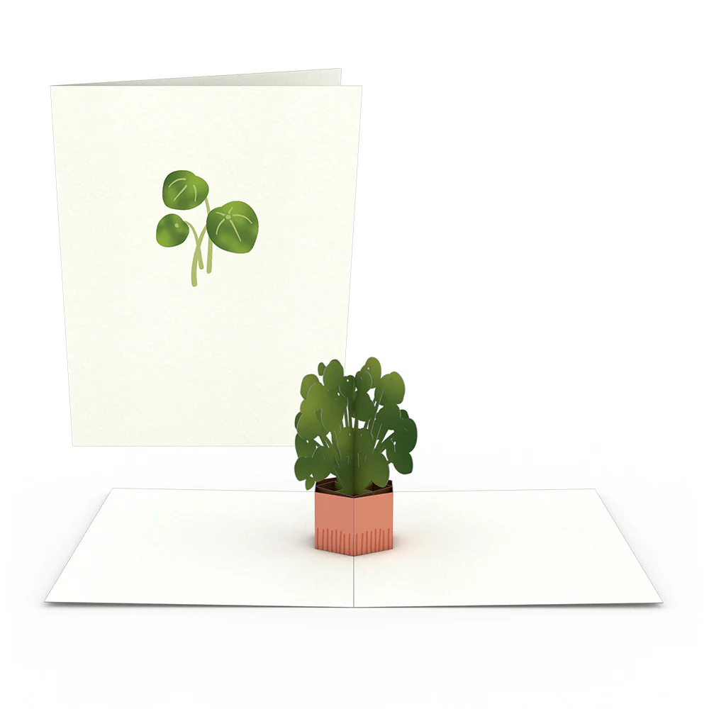 Plants Notecards (Assorted 4-Pack) - Image 4
