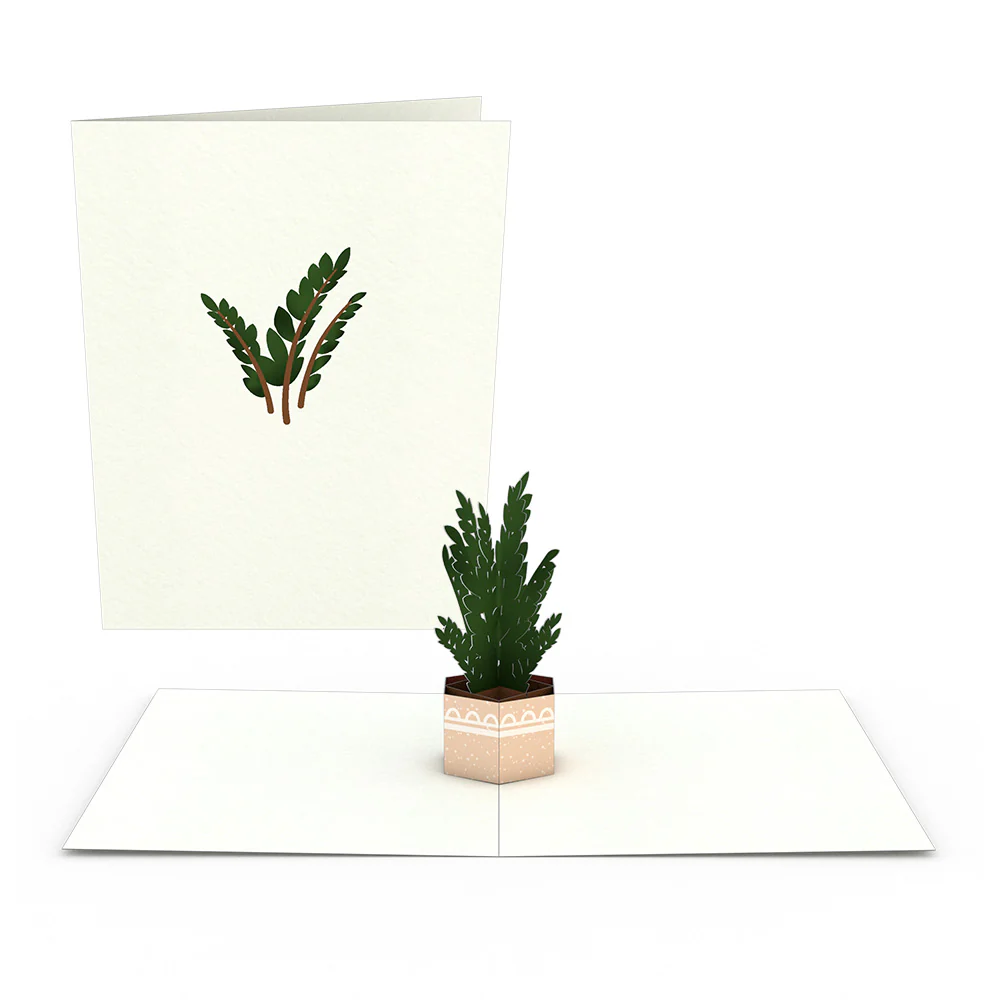 Plants Notecards (Assorted 4-Pack) - Image 5