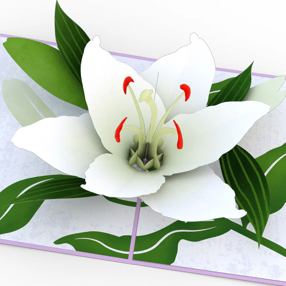 Peace Lily Pop-up Card - Image 2