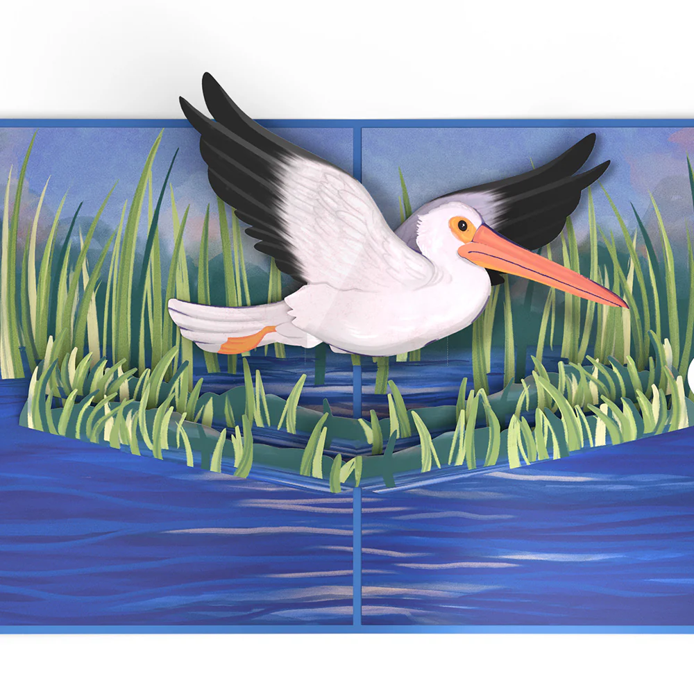 Pelican in the Marsh Pop-Up Card - Image 3