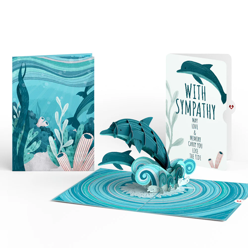 Playful Dolphins Sympathy Pop-Up Card and Sentiment Set