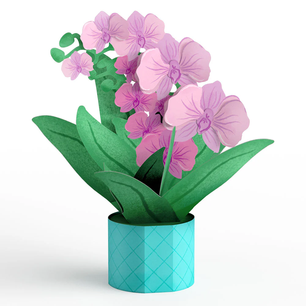 Proud to Be Y’Orchid Mother’s Day Card with Mini Bouquet - Image 2