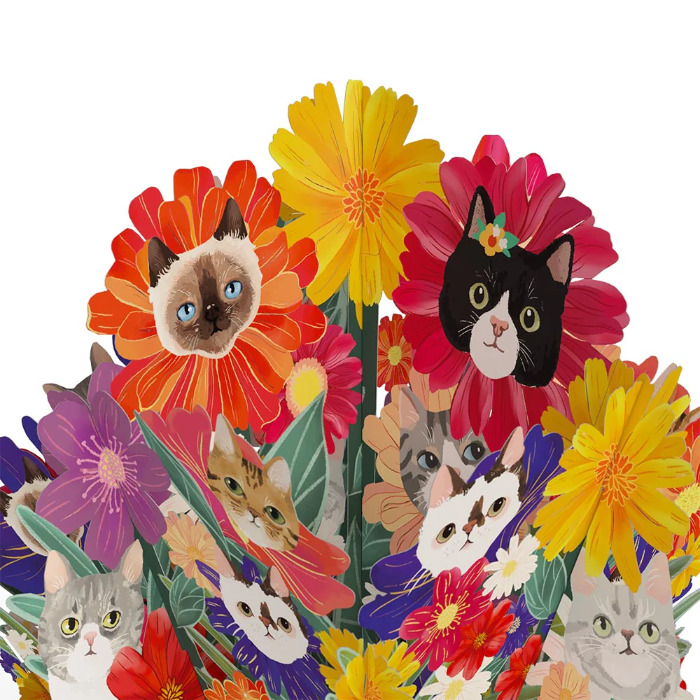 Purr-fect Cat Birthday Bouquet and Sentiment Set for Son - Image 3