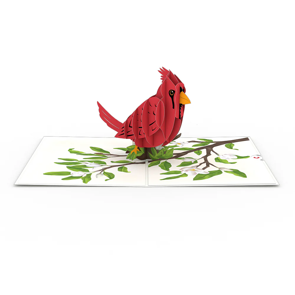 Radiant Cardinal Pop-Up Card - Image 3