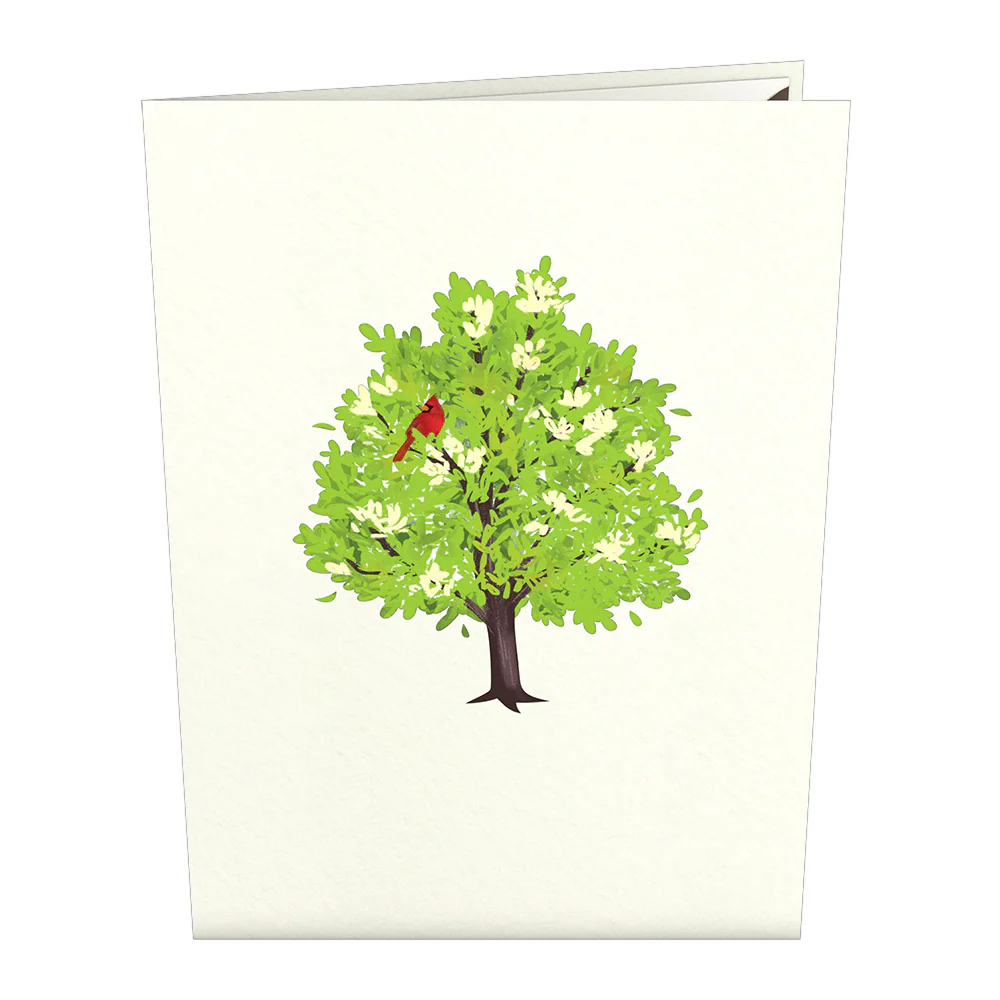 Radiant Cardinal Pop-Up Card - Image 4