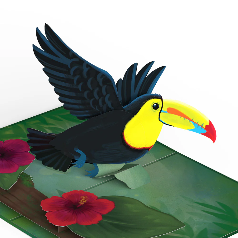 Rainforest Toucan Anniversary Pop-Up Card and Hibiscus Sentiment Set - Image 3