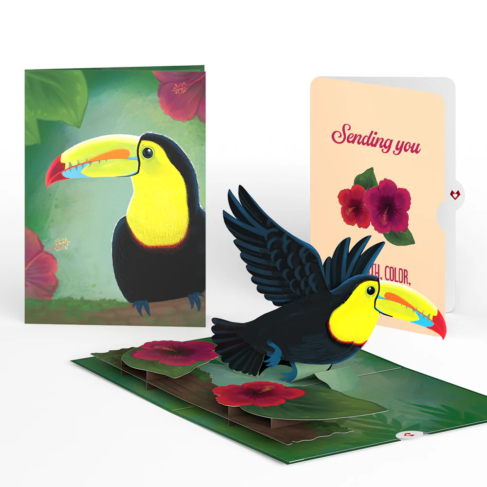 Rainforest Toucan Encouragement Pop-Up Card and Hibiscus Sentiment Set