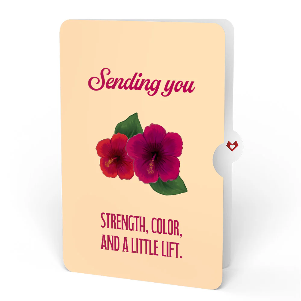 Rainforest Toucan Encouragement Pop-Up Card and Hibiscus Sentiment Set - Image 4